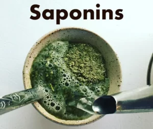 Blog-post-35-saponins