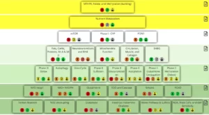 Blog-post-25-NGRI-Pyramid