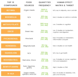 Blog-post-25-Top-10-Supplements-Stack