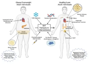 Blog-post-47-Cold-Exposure-Benefits
