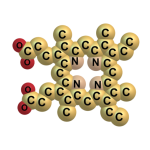 Blog-post-54-Porphyrin